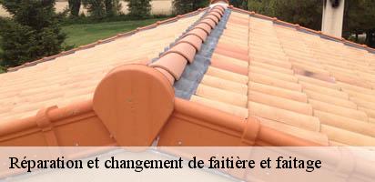 Réparation et changement de faitière et faitage  montricher-1147 MD Couverture Zingueur