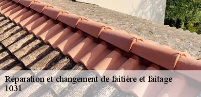 Réparation et changement de faitière et faitage  mex-1031 MD Couverture Zingueur