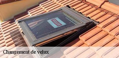 Changement de velux  veytaux-1820 MD Couverture Zingueur