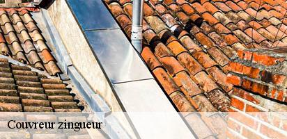 Couvreur zingueur  st-saphorin-1071 MD Couverture Zingueur