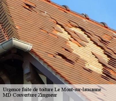 Urgence fuite de toiture  le-mont-sur-lausanne-1052 MD Couverture Zingueur