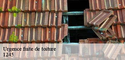 Urgence fuite de toiture  collonge-bellerive-1245 MD Couverture Zingueur