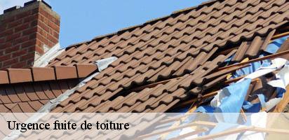 Urgence fuite de toiture  chavannes-de-bogis-1279 MD Couverture Zingueur