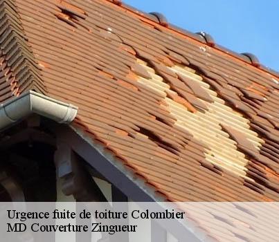 Urgence fuite de toiture  colombier-2013 MD Couverture Zingueur