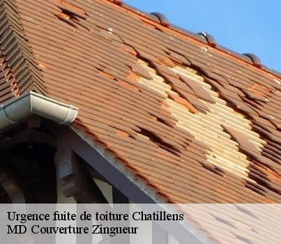 Urgence fuite de toiture  chatillens-1610 MD Couverture Zingueur