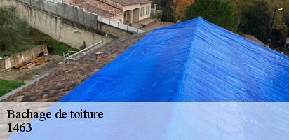 Bachage de toiture  rovray-1463 MD Couverture Zingueur