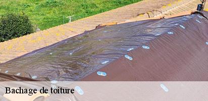 Bachage de toiture  chavannes-le-chene-1464 MD Couverture Zingueur