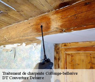 traitement-de-charpente