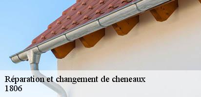 Réparation et changement de cheneaux  st-legier-la-chiesaz-1806 MD Couverture Zingueur