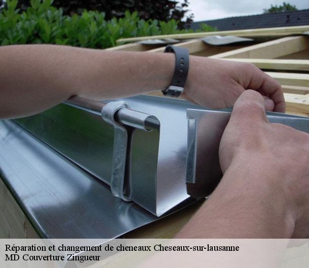 Réparation et changement de cheneaux  cheseaux-sur-lausanne-1033 MD Couverture Zingueur