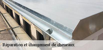 Réparation et changement de cheneaux  vuiteboeuf-1445 MD Couverture Zingueur