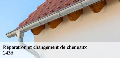 Réparation et changement de cheneaux  chamblon-1436 MD Couverture Zingueur