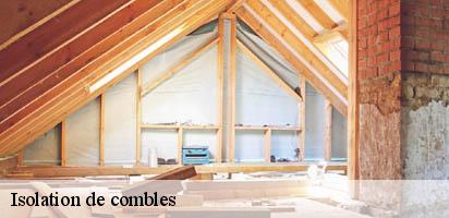 Isolation de combles  champagne-1424 MD Couverture Zingueur