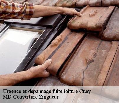 Urgence et depannage fuite toiture  cugy-1482 MD Couverture Zingueur