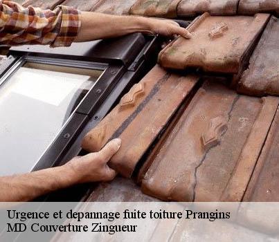 Urgence et depannage fuite toiture  prangins-1197 MD Couverture Zingueur