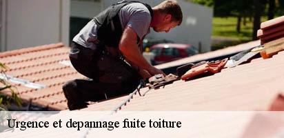 Urgence et depannage fuite toiture  gressy-1432 MD Couverture Zingueur