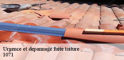 Urgence et depannage fuite toiture  st-saphorin-1071 MD Couverture Zingueur