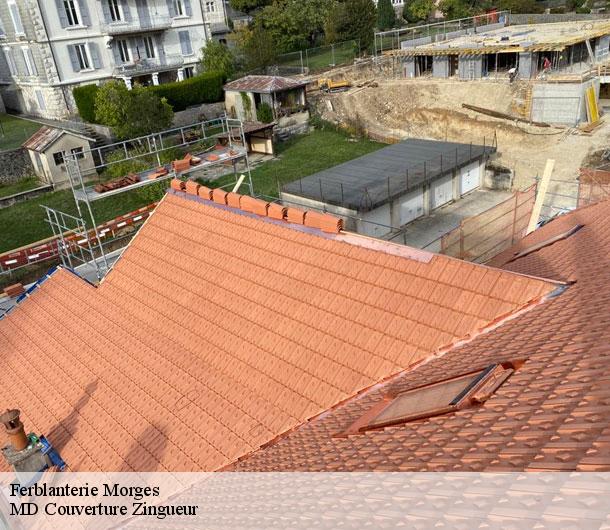 Ferblanterie  morges-1110 MD Couverture Zingueur