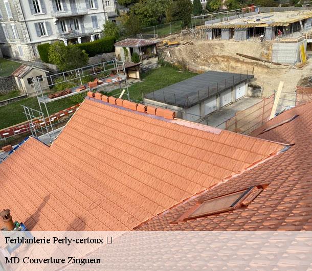 Ferblanterie  perly-certoux-1258 MD Couverture Zingueur