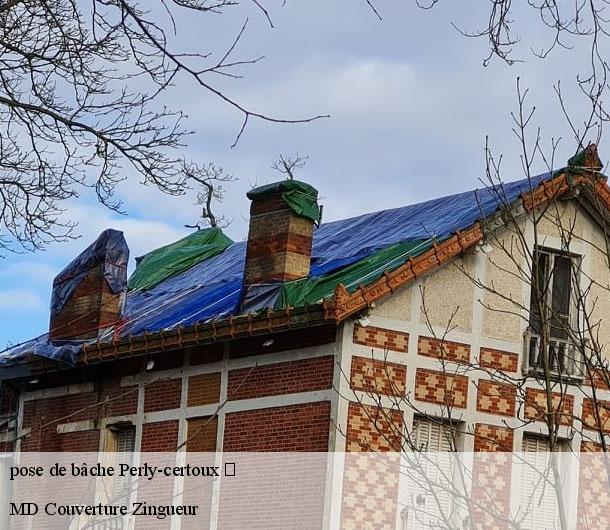 pose de bâche  perly-certoux-1258 MD Couverture Zingueur