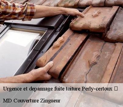 Urgence et depannage fuite toiture  perly-certoux-1258 MD Couverture Zingueur