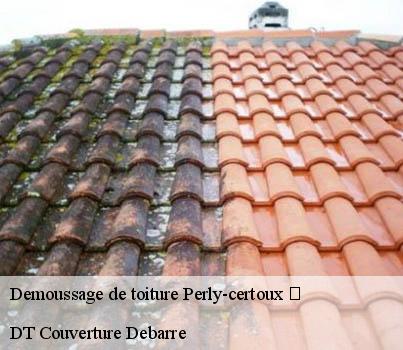 demoussage-de-toiture