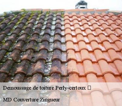 Demoussage de toiture  perly-certoux-1258 MD Couverture Zingueur