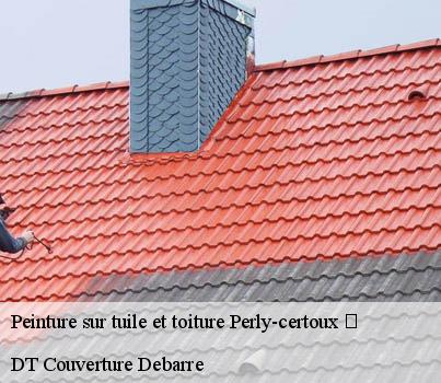 peinture-sur-tuile-et-toiture