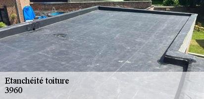 Etanchéité toiture  sierre-3960 MD Couverture Zingueur