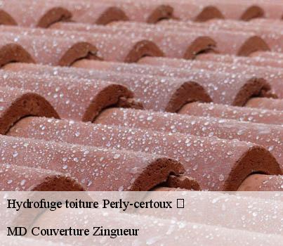 Hydrofuge toiture  perly-certoux-1258 MD Couverture Zingueur