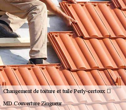 Changement de toiture et tuile  perly-certoux-1258 MD Couverture Zingueur