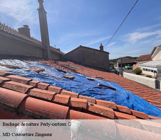 Bachage de toiture  perly-certoux-1258 MD Couverture Zingueur