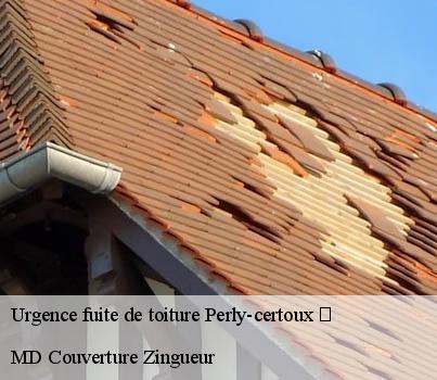 Urgence fuite de toiture  perly-certoux-1258 MD Couverture Zingueur