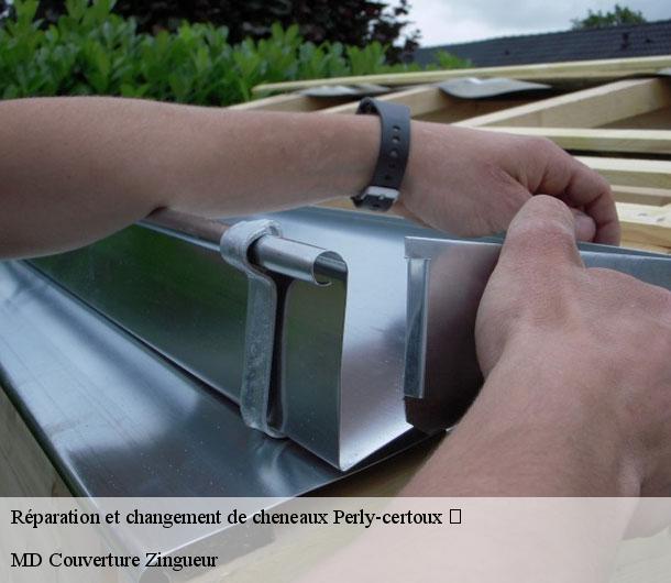 Réparation et changement de cheneaux  perly-certoux-1258 MD Couverture Zingueur